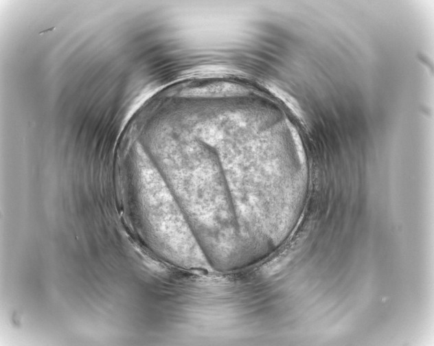 X0000093211473200710241147