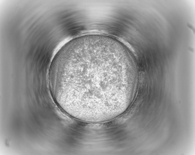 X0000093211474200710241147