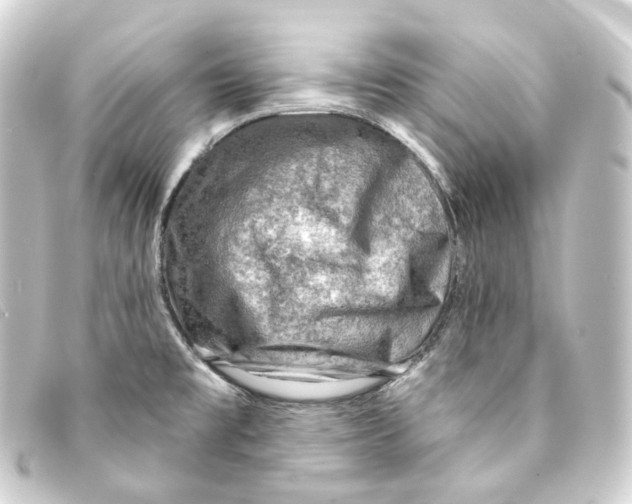 X0000093211477200710241147