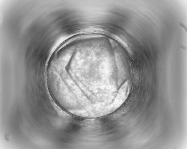 X0000093211478200710241147