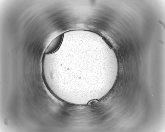 X0000093211479200710241147