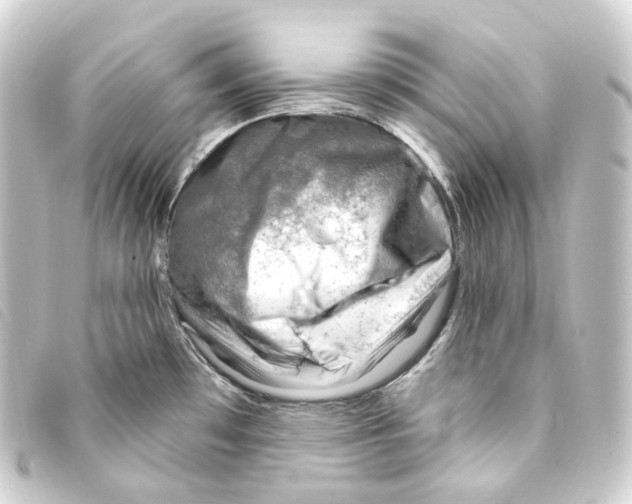 X0000093211481200710241147