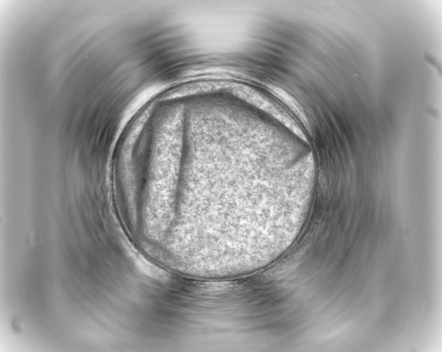 X0000093211482200710241147