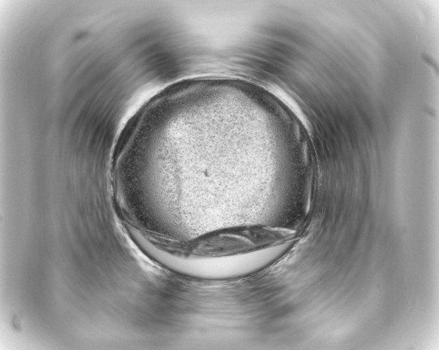 X0000093211485200710241147