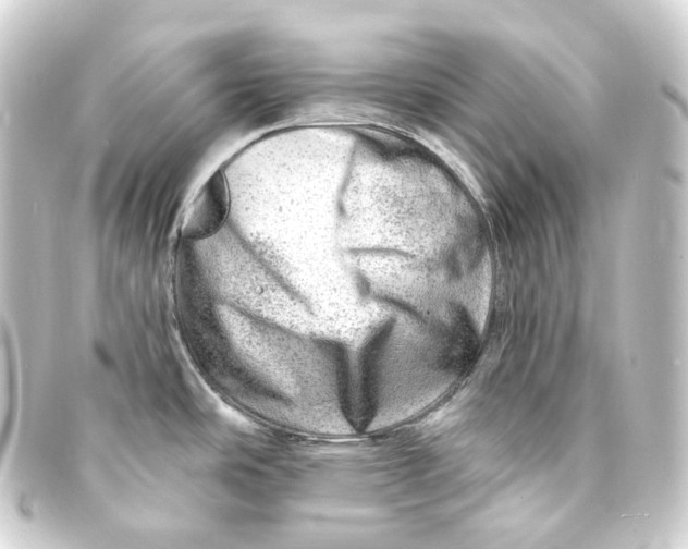 X0000093211486200710241147