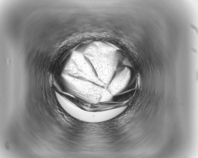 X0000093211492200710241146