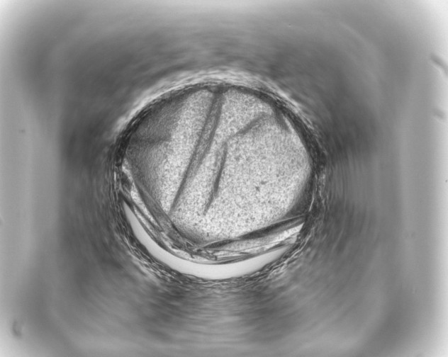 X0000093211496200710241146