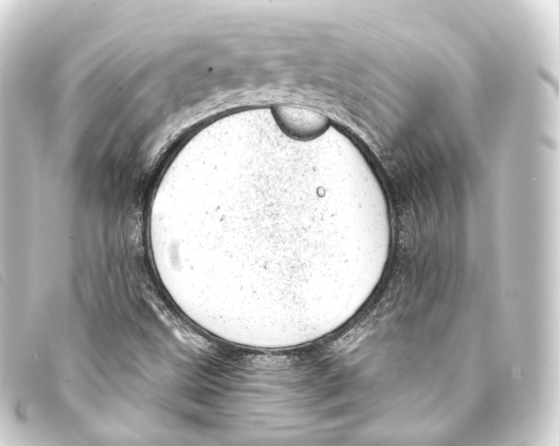 X0000093211499200710241146