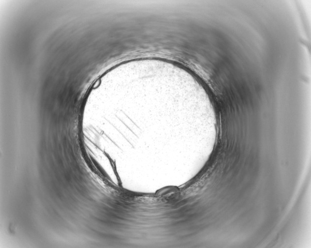 X0000093211500200710241146