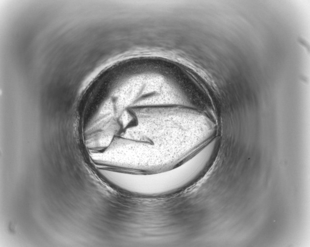 X0000093211502200710241146