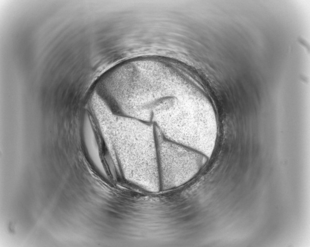 X0000093211505200710241146