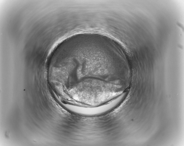 X0000093211506200710241146