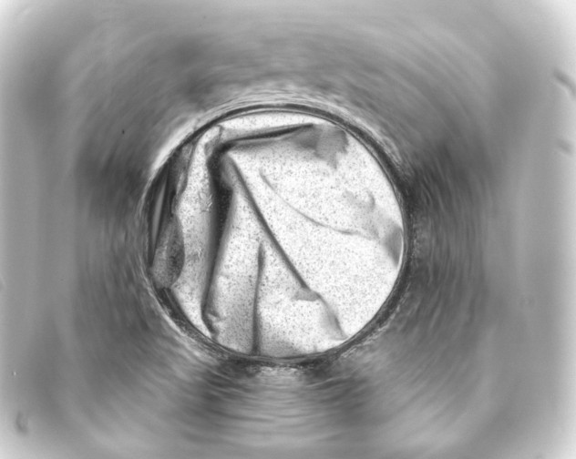 X0000093211509200710241146