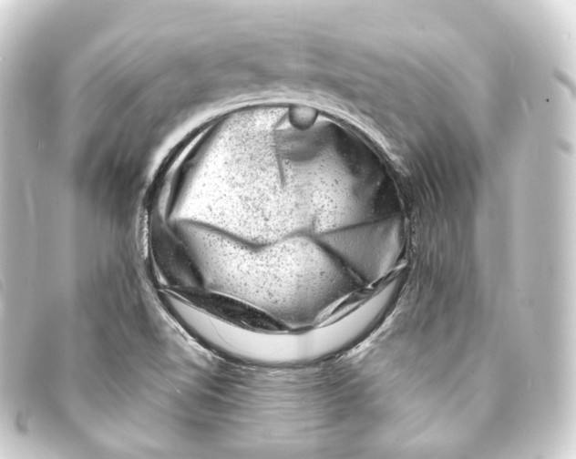 X0000093211510200710241146