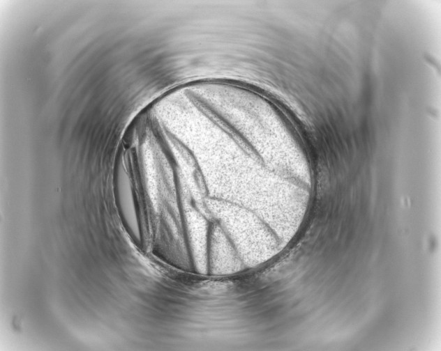 X0000093211513200710241146