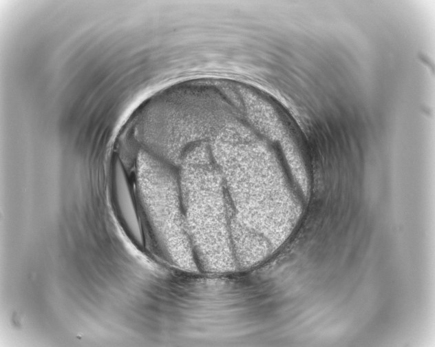 X0000093211515200710241146