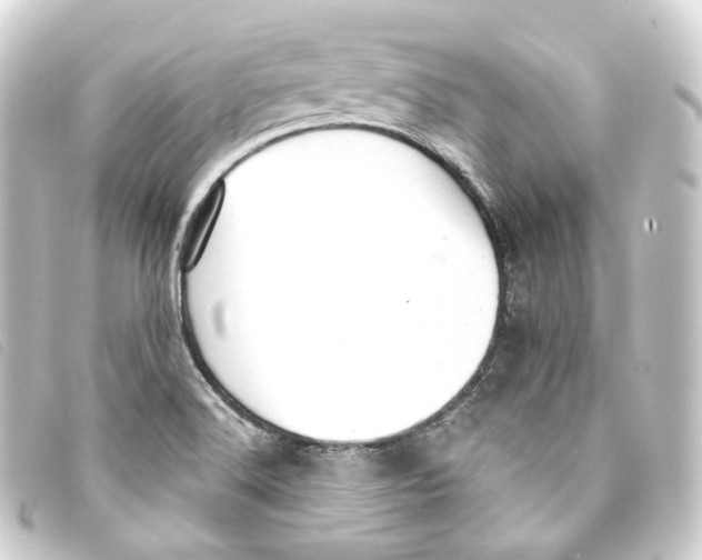 X0000093211516200710241146