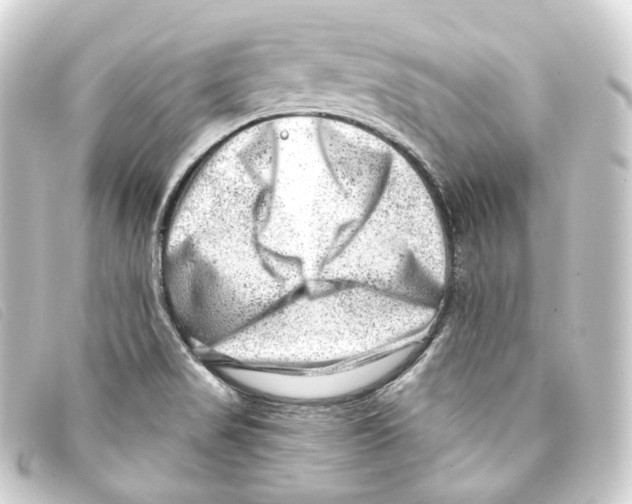 X0000093211517200710241146