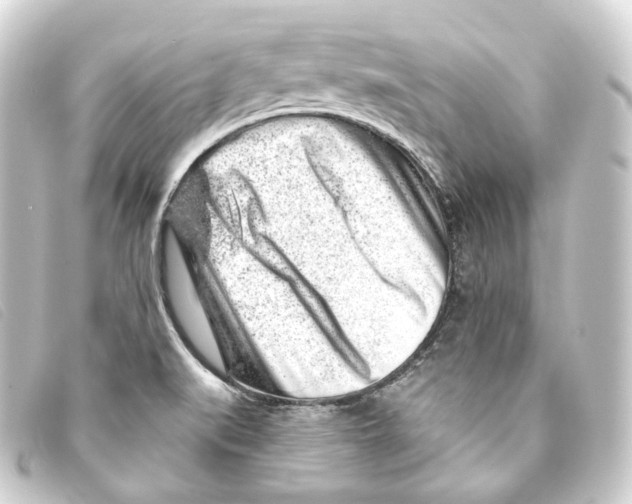 X0000093211519200710241146