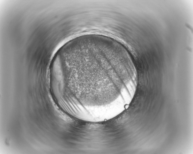 X0000093211522200710241146