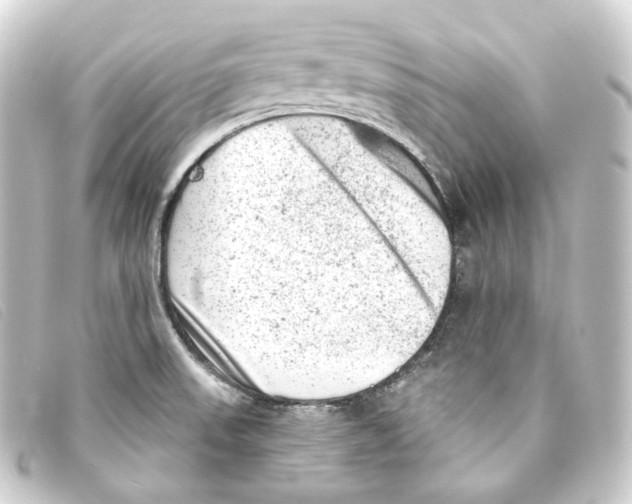 X0000093211523200710241146