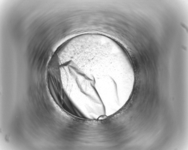 X0000093211526200710241146