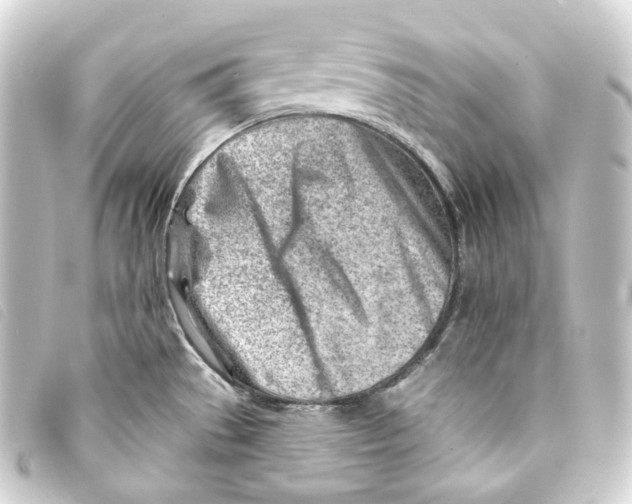 X0000093211529200710241146