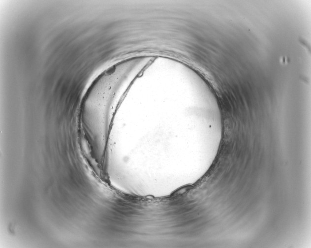 X0000093211530200710241146