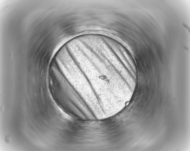 X0000093211533200710241147