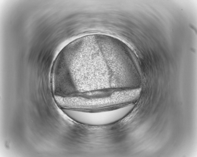 X0000093211535200710241147