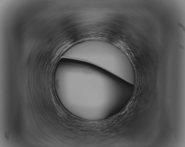 X0000093220001200709261455