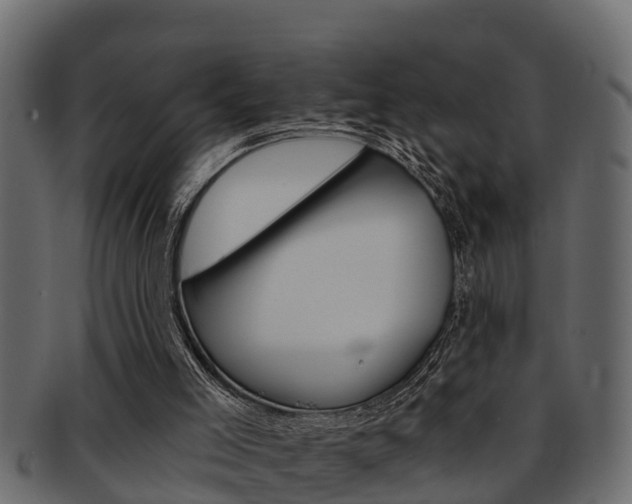 X0000093220005200709261455