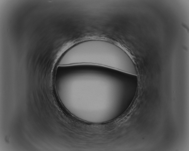 X0000093220008200709261455