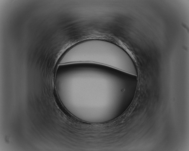 X0000093220011200709261455