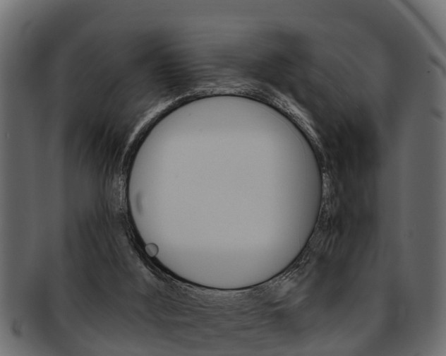 X0000093220012200709261455