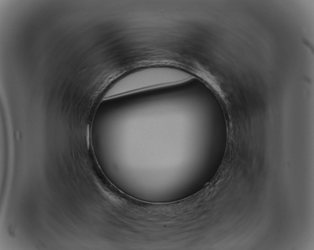 X0000093220013200709261455