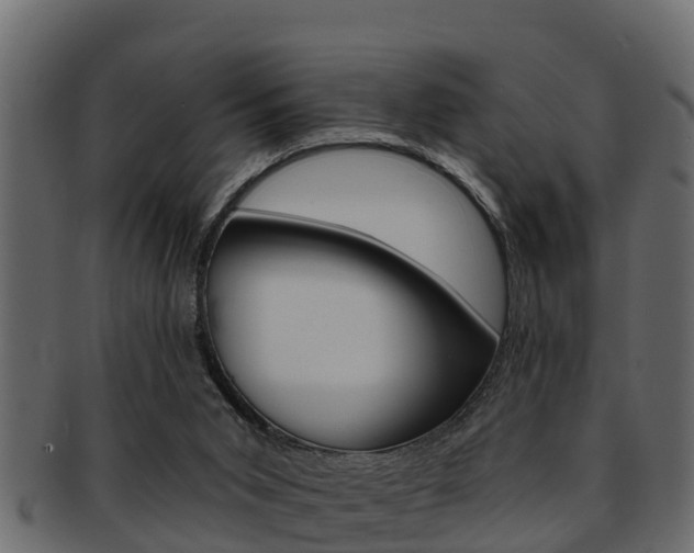 X0000093220015200709261455