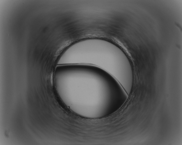 X0000093220019200709261455
