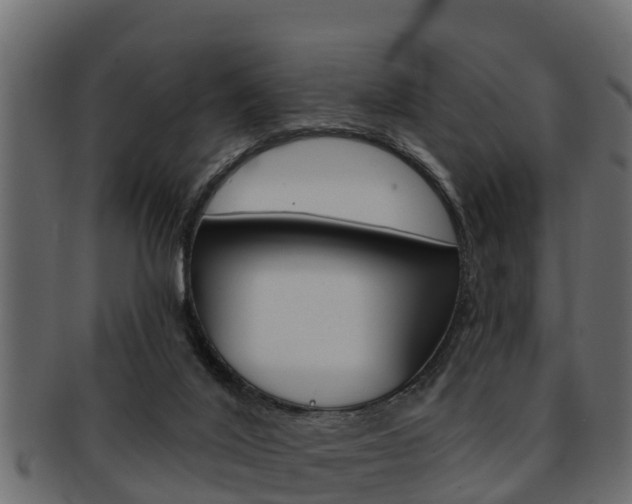 X0000093220020200709261455