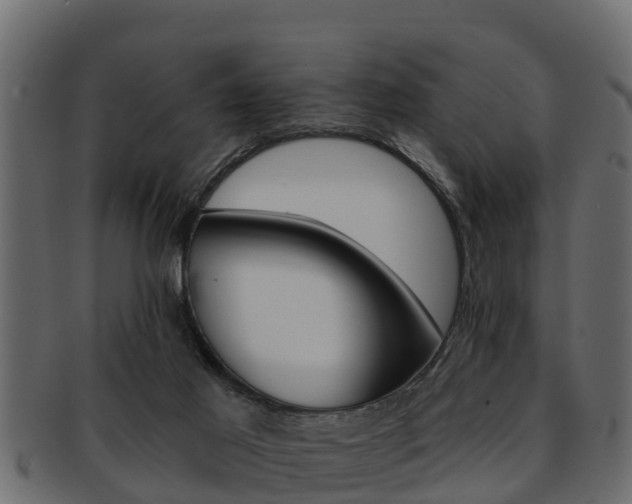 X0000093220021200709261455