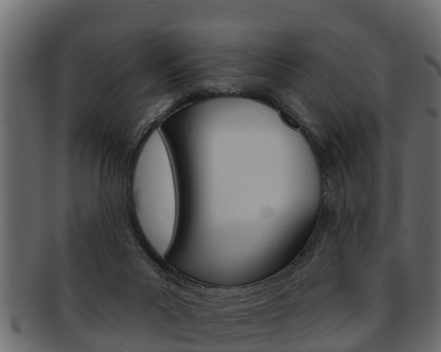 X0000093220023200709261455