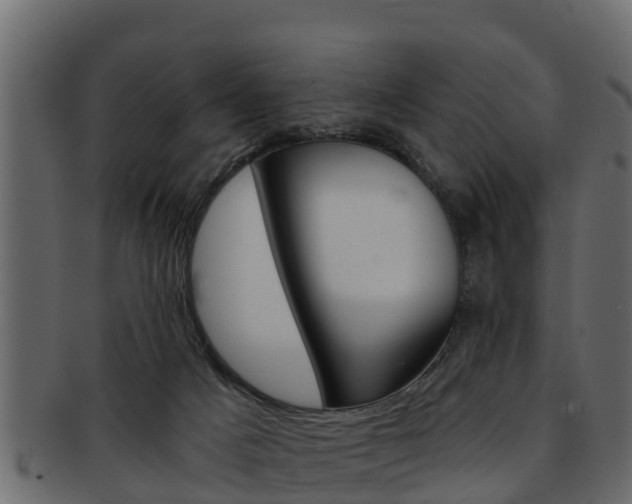X0000093220025200709261455