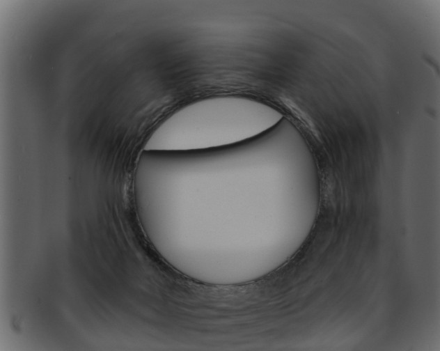 X0000093220026200709261455