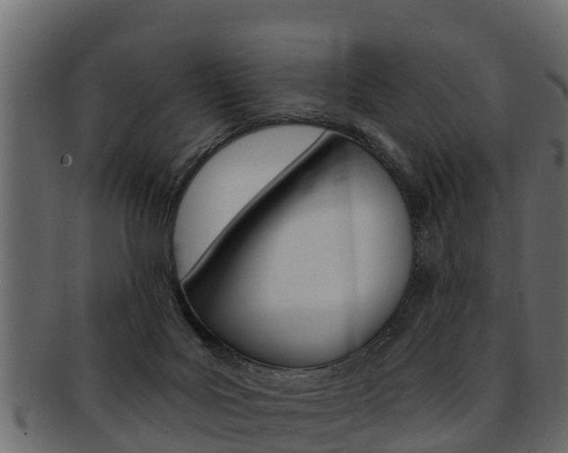 X0000093220027200709261455