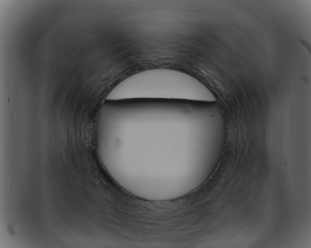 X0000093220030200709261455