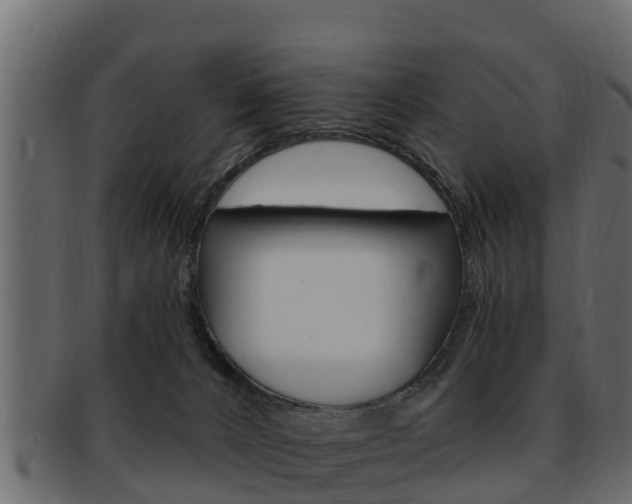 X0000093220032200709261455
