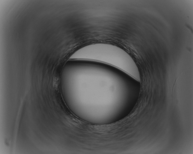 X0000093220033200709261455