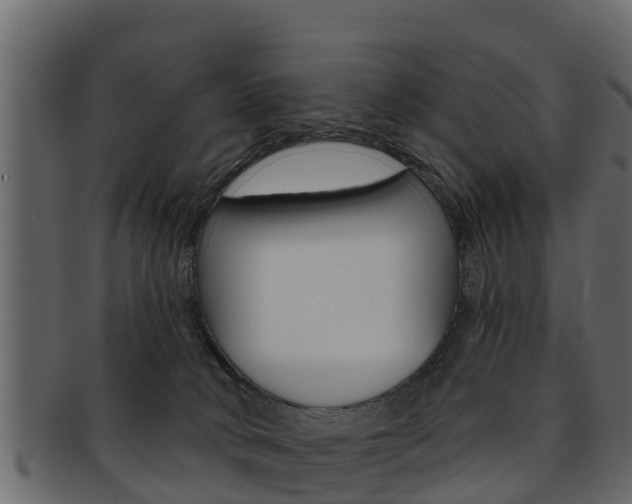 X0000093220034200709261455