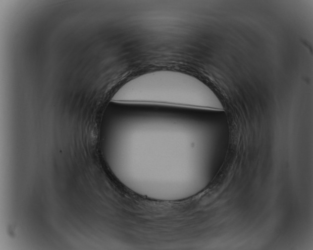 X0000093220040200709261455