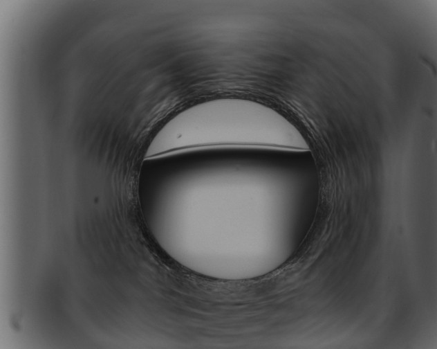 X0000093220044200709261455